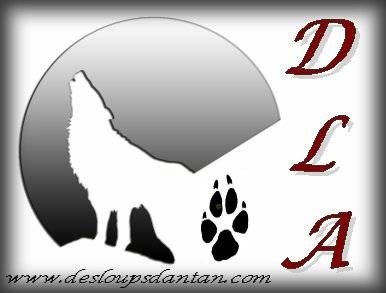 des loups d'antan